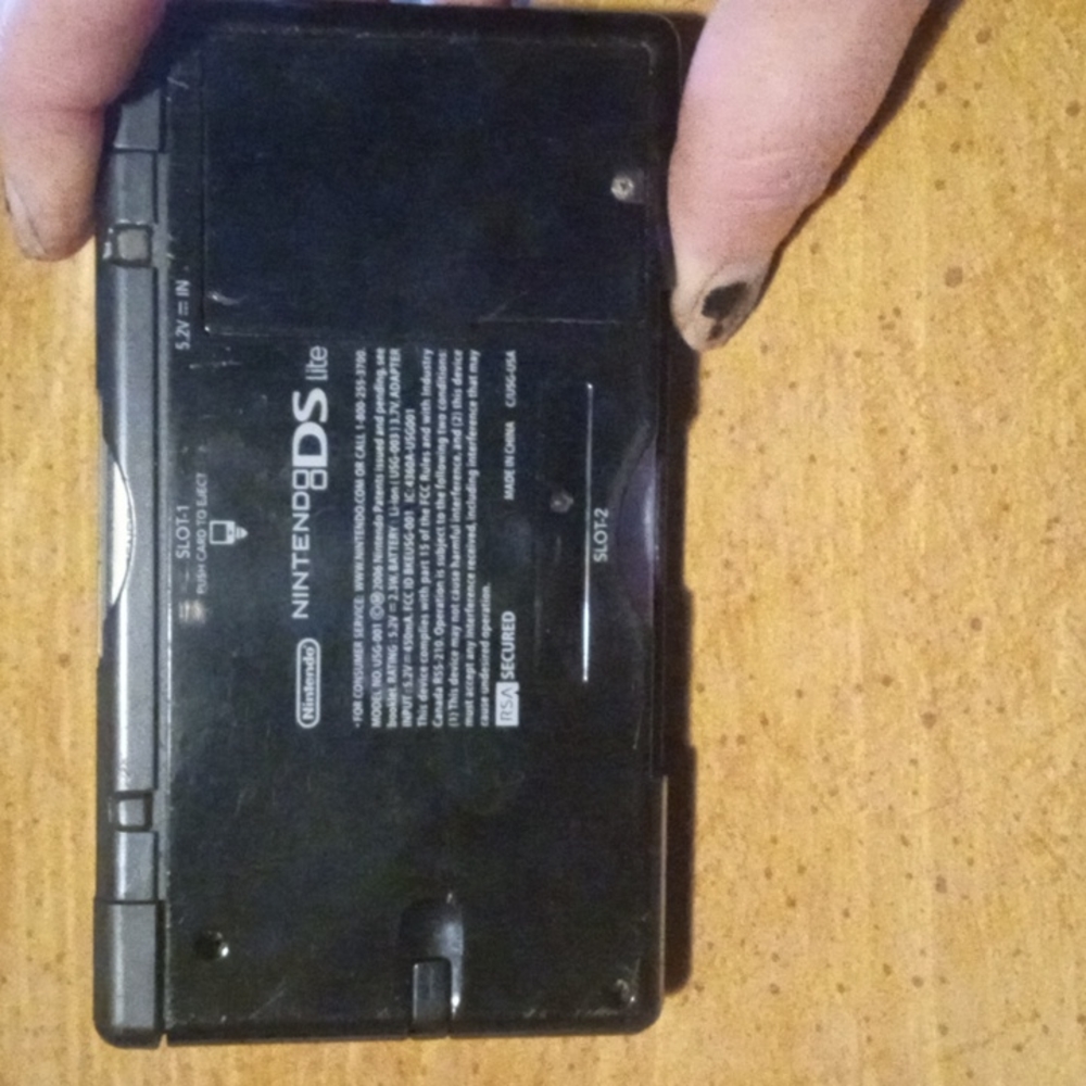 Nintendo DS Lite